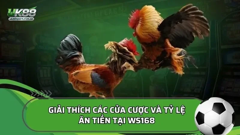 Giải thích các cửa cược và tỷ lệ ăn tiền tại WS168