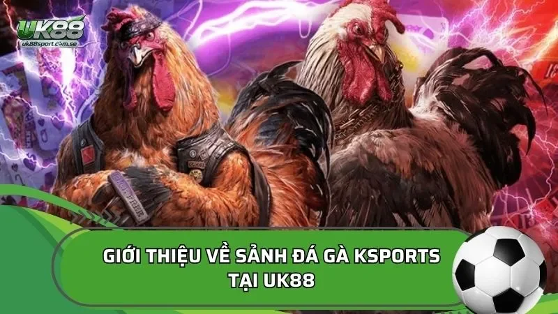 Giới thiệu về sảnh đá gà KSPORTS tại UK88